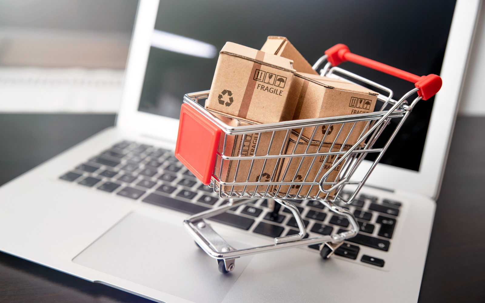 Ecommerce Development